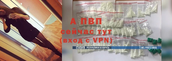 гашик Магас