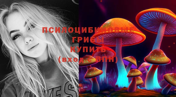 гашик Магас