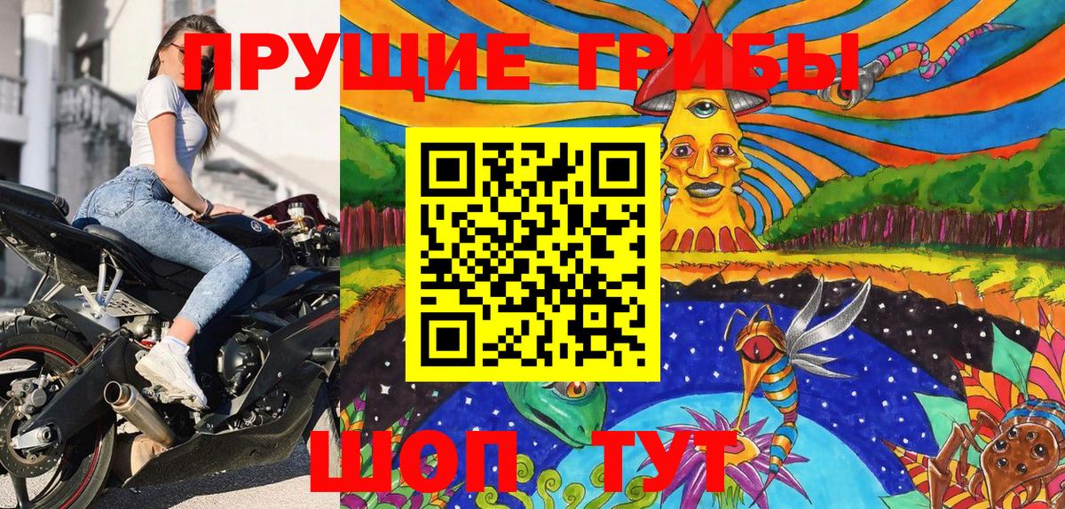 Галлюциногенные грибы Psilocybe  купить наркотик  Березники  Вход с VPN 